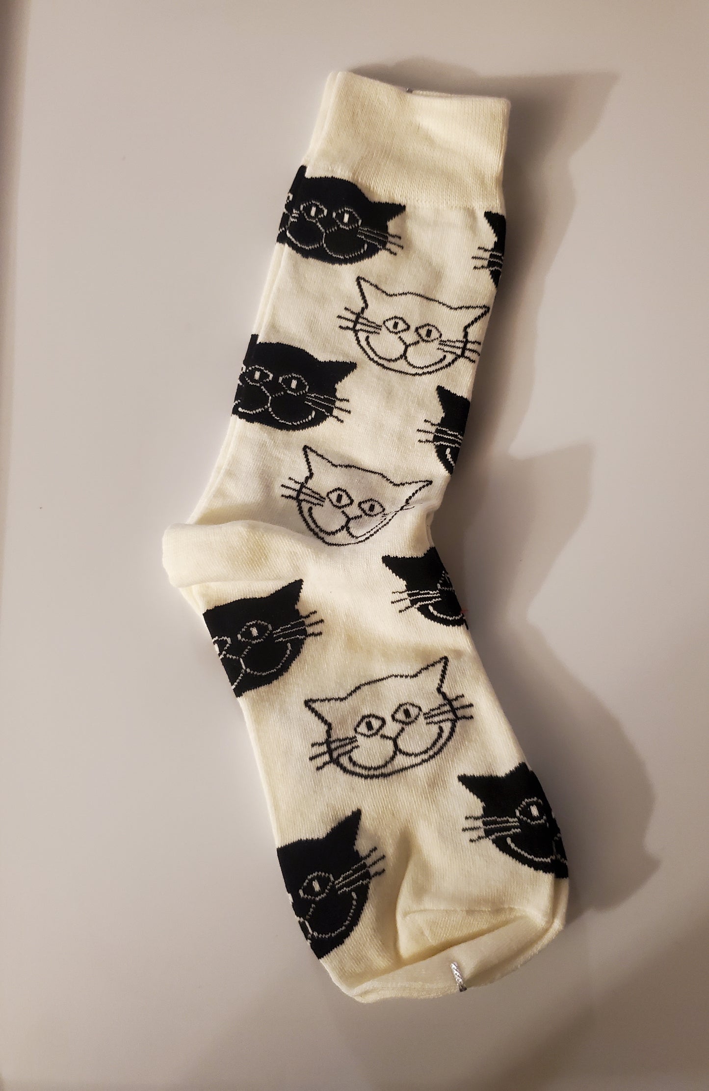 Black and White Kittens