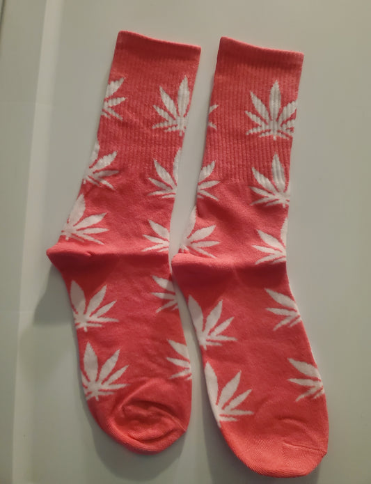 Pink/White Cannabis