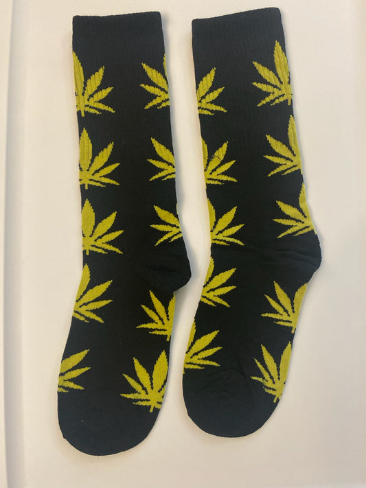 Black/Yellow Cannabis