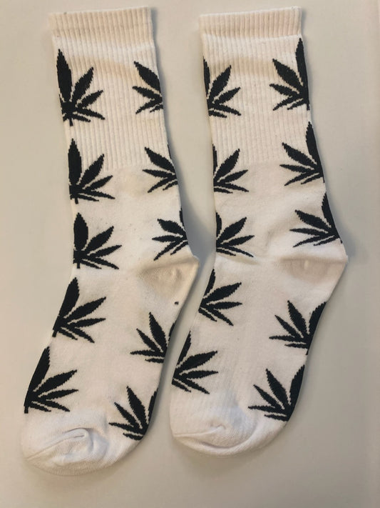 White/Black Cannabis