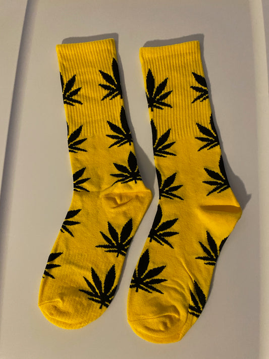 Yellow/Black Cannabis