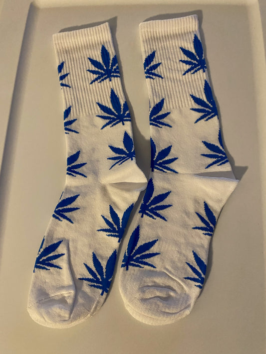 White/Blue Cannabis